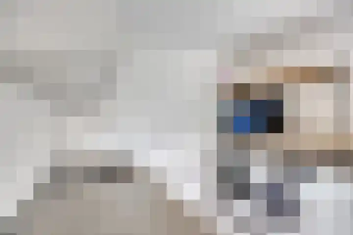 Leliestraat 9 Grubbenvorst thumbnail 24