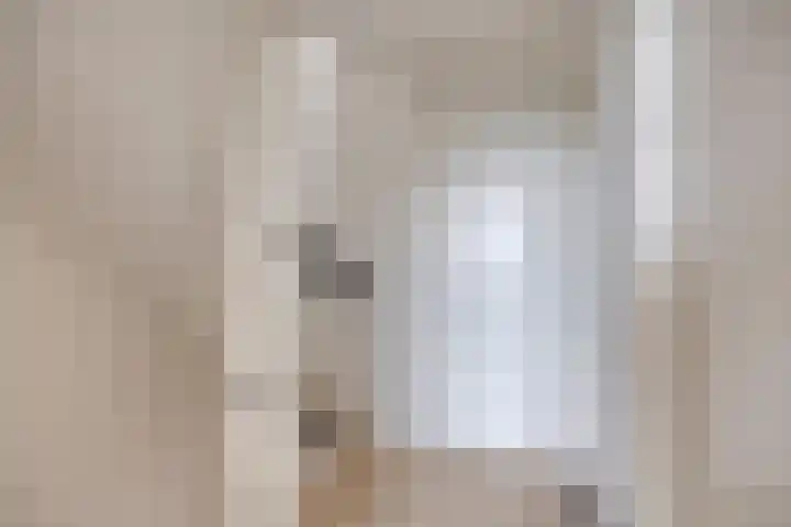 Leliestraat 9 Grubbenvorst thumbnail 27