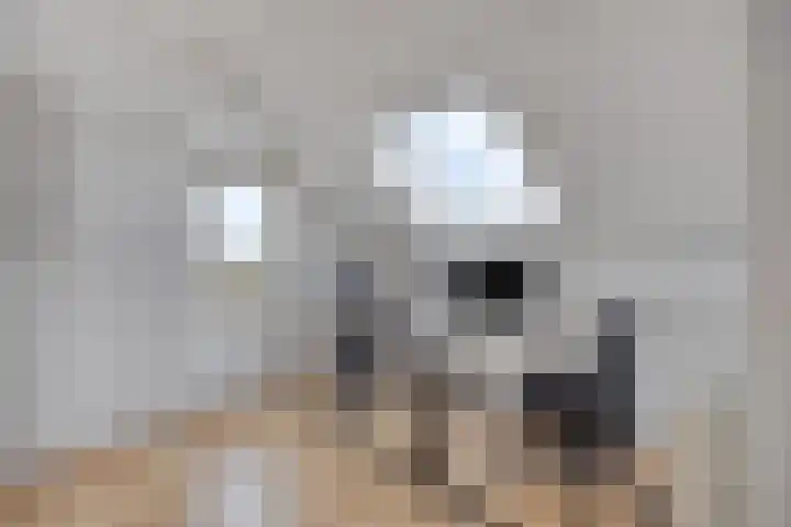 Leliestraat 9 Grubbenvorst thumbnail 37