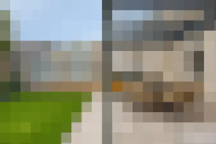 Leliestraat 9 Grubbenvorst thumbnail 41