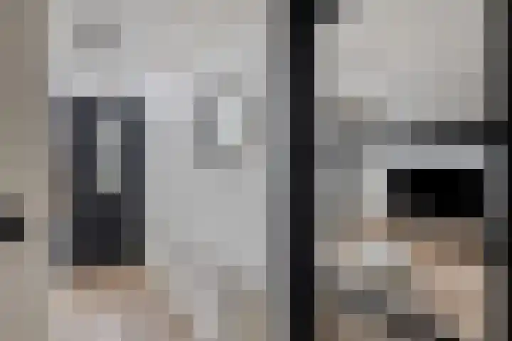 Leliestraat 9 Grubbenvorst thumbnail 5