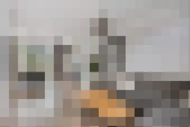 Leliestraat 9 Grubbenvorst thumbnail 9