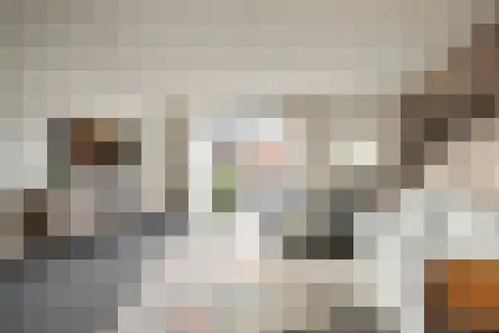 Lelyschans 22 Zoetermeer thumbnail 10