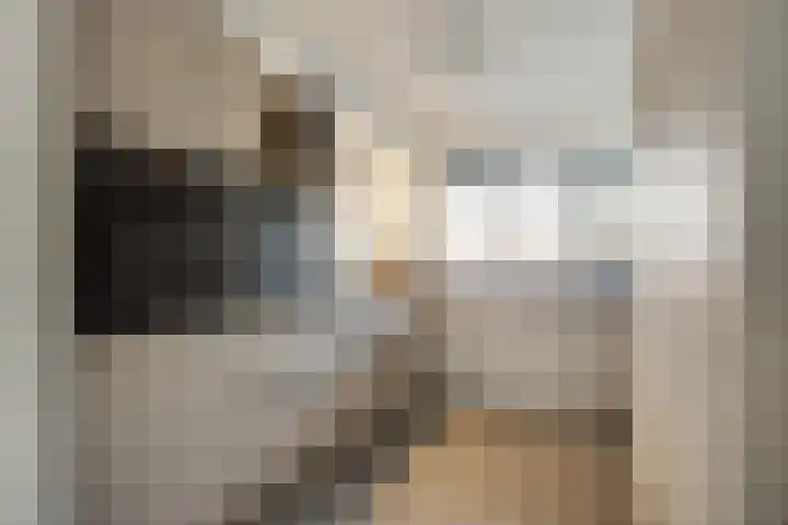 Lelyschans 22 Zoetermeer thumbnail 15