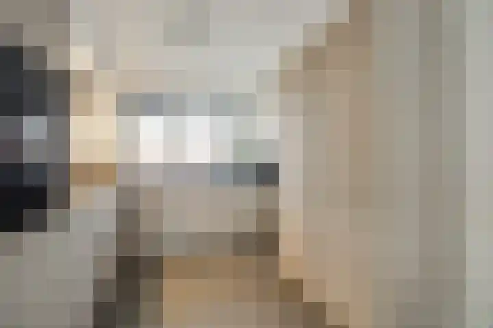Lelyschans 22 Zoetermeer thumbnail 16