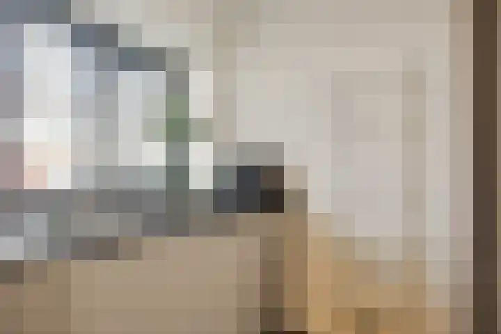 Lelyschans 22 Zoetermeer thumbnail 17