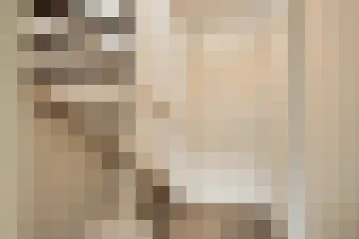 Lelyschans 22 Zoetermeer thumbnail 24