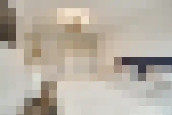 Lelyschans 22 Zoetermeer thumbnail 30