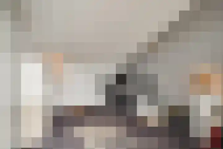 Lelyschans 22 Zoetermeer thumbnail 36