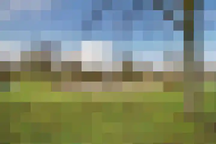 Lelyschans 22 Zoetermeer thumbnail 40