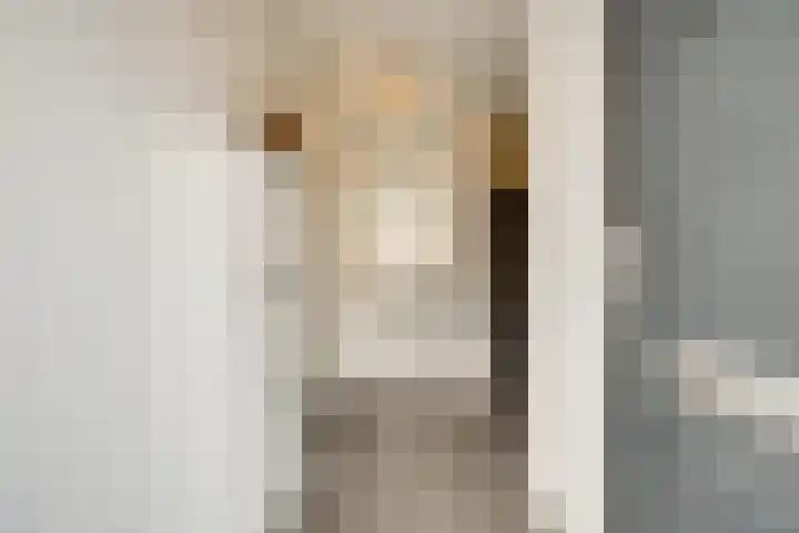 Lelyschans 22 Zoetermeer thumbnail 6