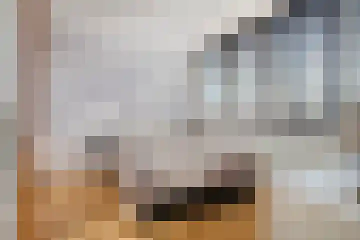Lelystraat 2 C29 Breda thumbnail 5