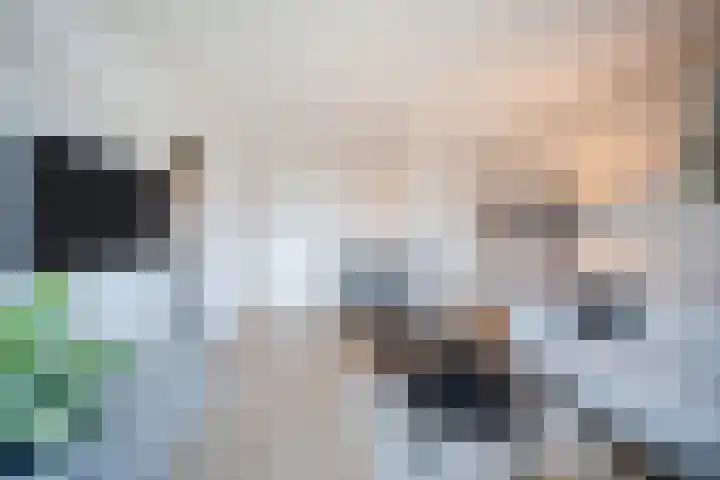 Lelystraat 2 G88 Breda thumbnail 22