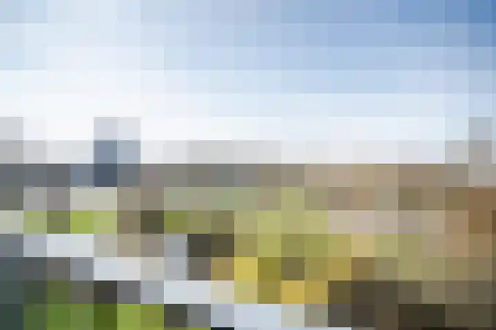 Lelystraat 2 G88 Breda thumbnail 4