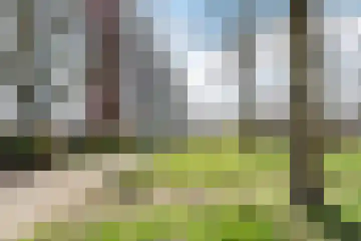 Lelystraat 2 G88 Breda thumbnail 46
