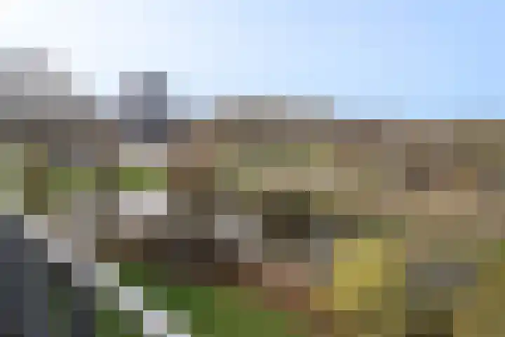 Lelystraat 2 G89 Breda thumbnail 14