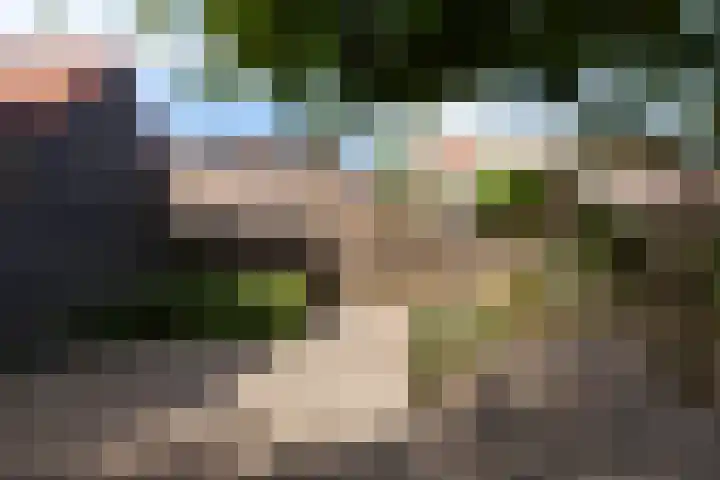 Lelystraat 9 Hardinxveld-Giessendam thumbnail 25
