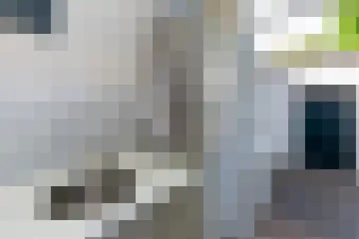 Lelystraat 9 Hardinxveld-Giessendam thumbnail 9