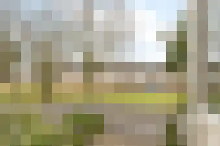 Lelystraat 96 Kampen thumbnail 28