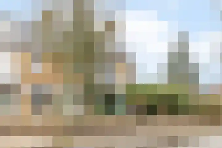 Lelystraat 96 Kampen thumbnail 44