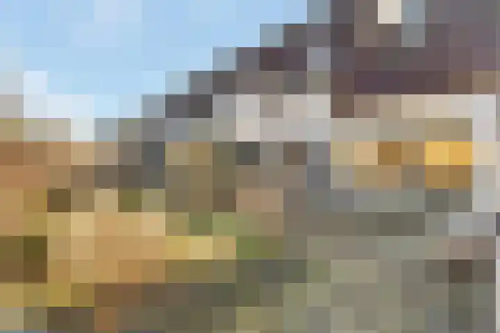 Lelyweg 112 Zeewolde thumbnail 36