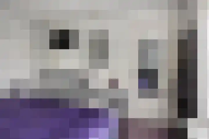 Lemel 31 Hapert thumbnail 13