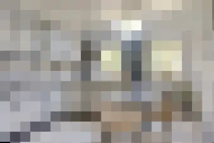 Lemel 31 Hapert thumbnail 14