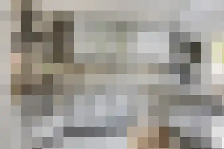 Lemel 31 Hapert thumbnail 16