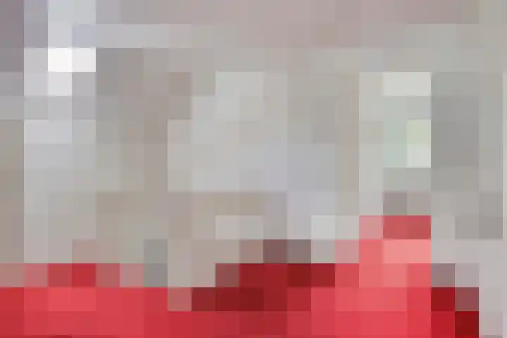 Lemel 31 Hapert thumbnail 21