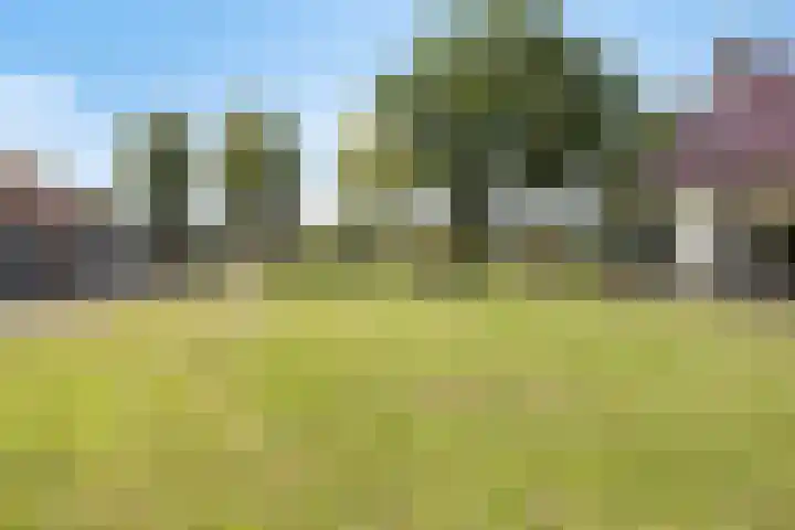 Lemel 31 Hapert thumbnail 33