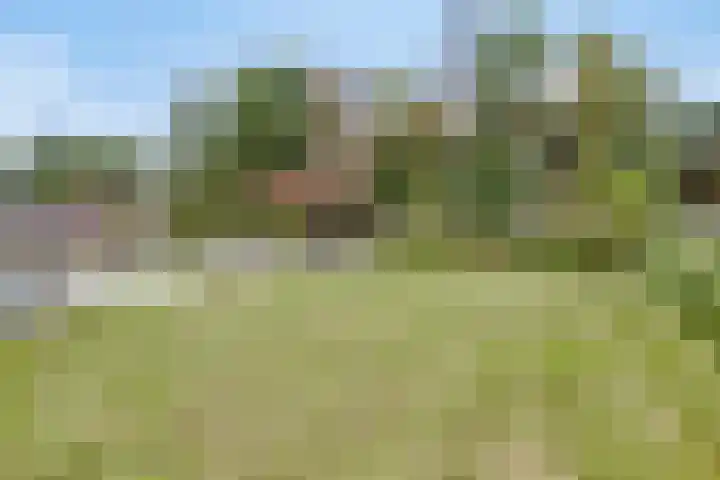 Lemel 31 Hapert thumbnail 34