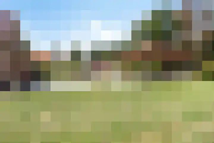 Lemel 31 Hapert thumbnail 35