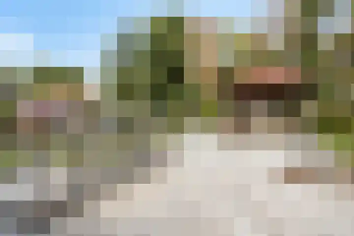 Lemel 31 Hapert thumbnail 36