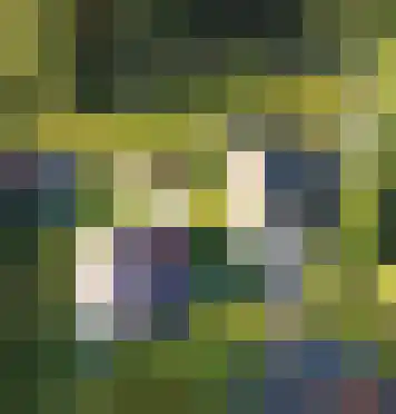 Lemel 31 Hapert thumbnail 4