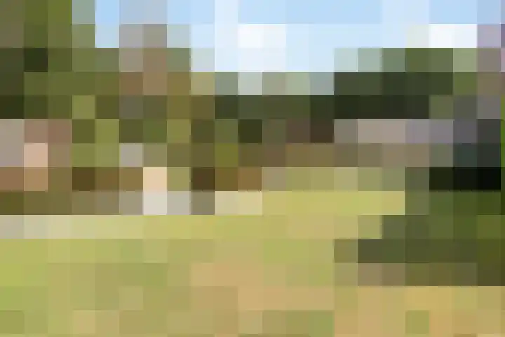 Lemel 31 Hapert thumbnail 41