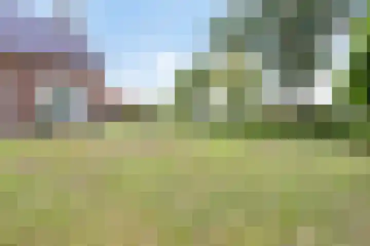 Lemel 31 Hapert thumbnail 42