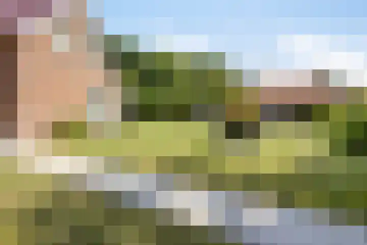 Lemel 31 Hapert thumbnail 44