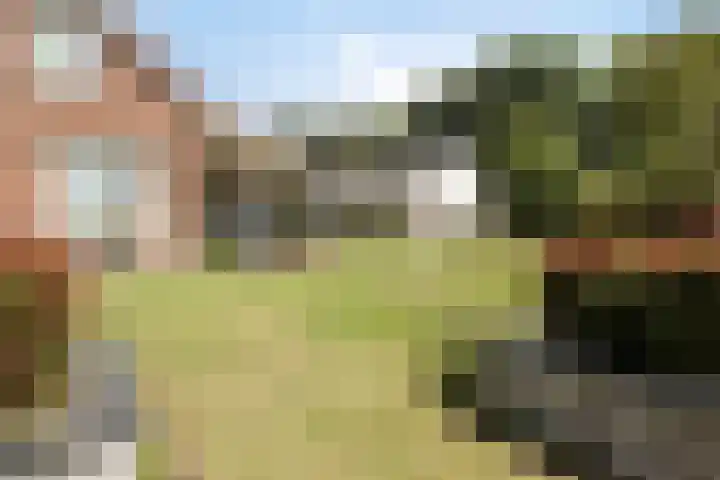 Lemel 31 Hapert thumbnail 45