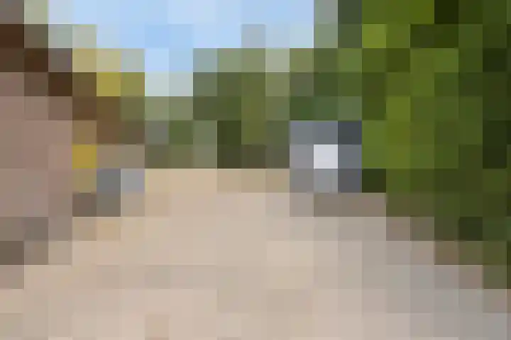 Lemel 31 Hapert thumbnail 46