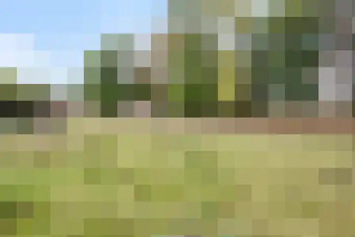 Lemel 31 Hapert thumbnail 50