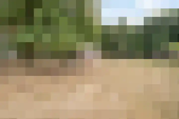 Lemel 31 Hapert thumbnail 51