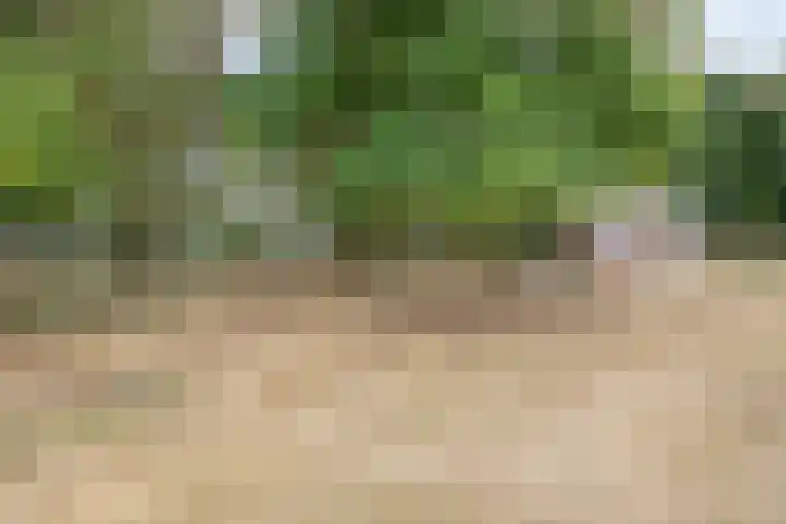 Lemel 31 Hapert thumbnail 52