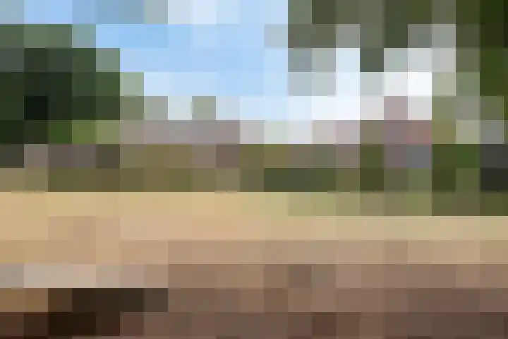 Lemel 31 Hapert thumbnail 53