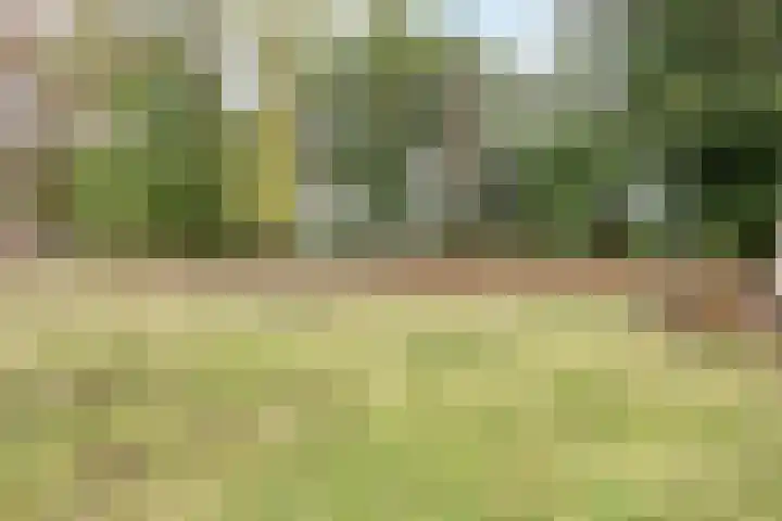 Lemel 31 Hapert thumbnail 54