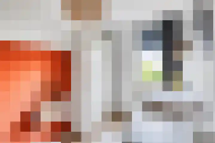 Lemoen 37 Eijsden thumbnail 24