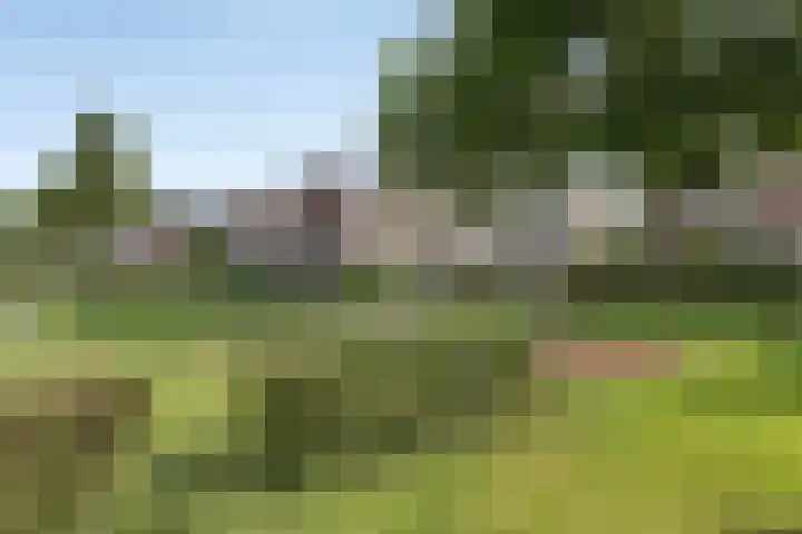 Lemoen 37 Eijsden thumbnail 39