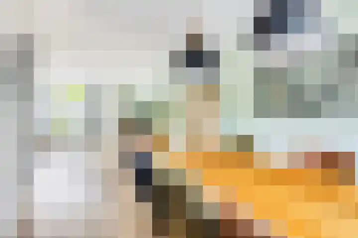 Lemoen 37 Eijsden thumbnail 8