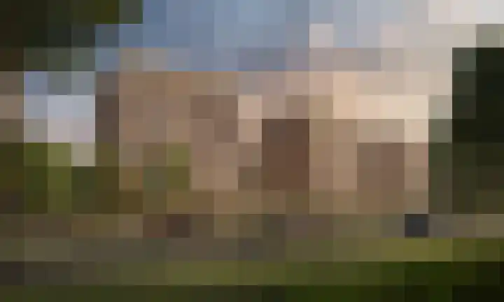 Lemoenappel 8 Lith thumbnail 10