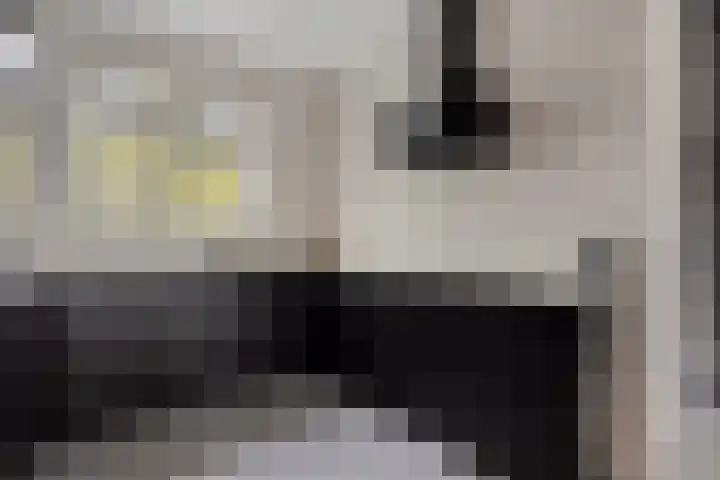 Lemoenappel 8 Lith thumbnail 11