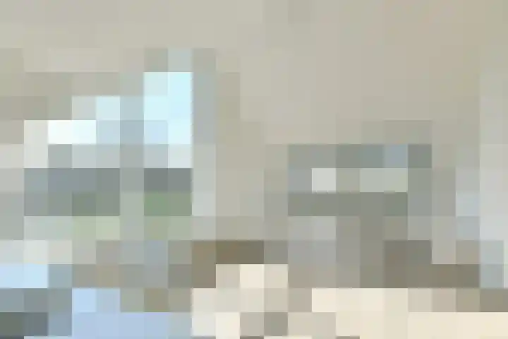 Lemoenappel 8 Lith thumbnail 19